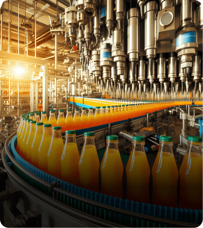 Food and Beverages illustration